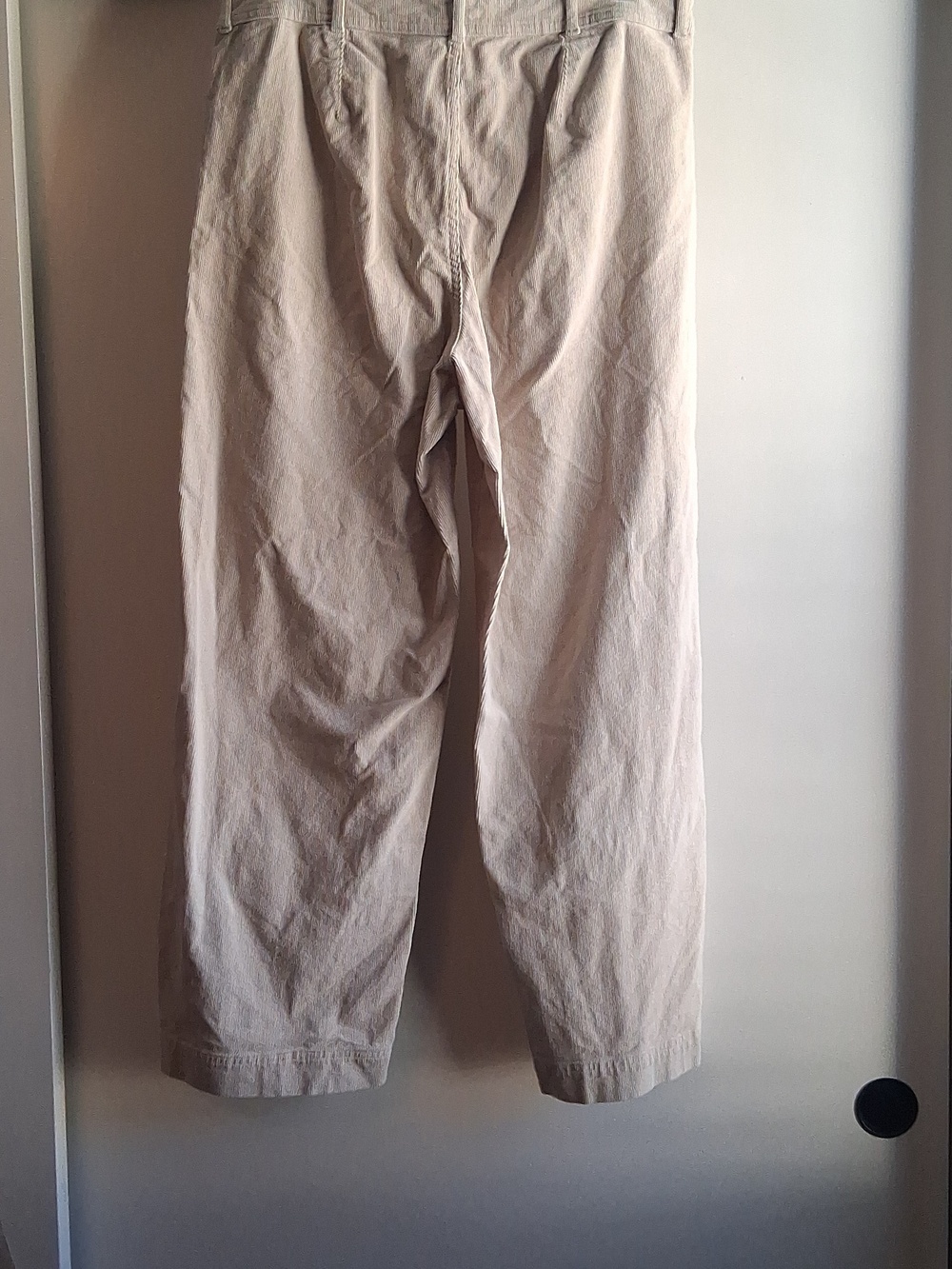 Everlane Corduroy Wide Leg Pant 14 Cream Ivory - Picture 6 of 10
